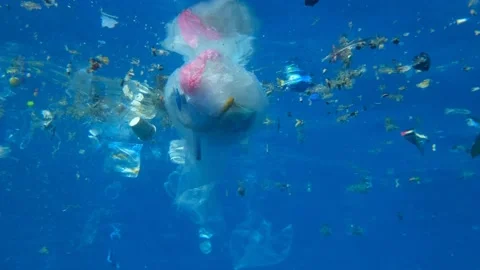 Plastic pollution of the Ocean. A lot of plastic debris drifting under water Stock Footage 144028473