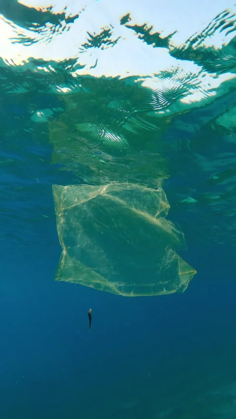 Plastic pollution of the Ocean, Old yellow plastic bag drifting below water Stock Footage 328201660