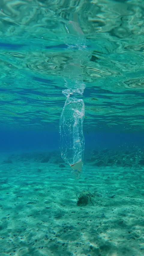 Plastic pollution of Ocean, Transparent plastic bag drifting below water surface Stock Footage 344978323