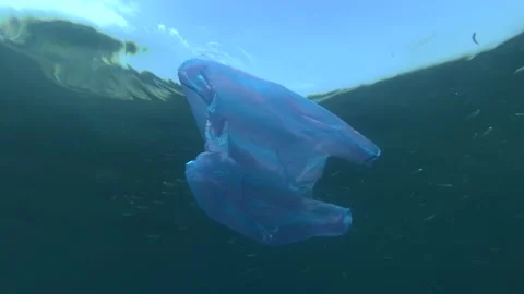 Plastic pollution of ocean, used blue plastic bag drifting under surface in the Stock Footage 133771949