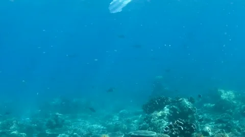 Plastic pollution, plastic bag floating over tropical coral reef. Stock Footage
