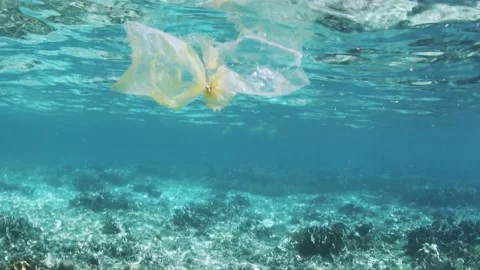 Plastic pollution, plastic bag floating over tropical coral reef. Stock Footage 156202482