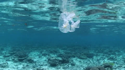 Plastic pollution, plastic bag floating over tropical coral reef. Stock Footage 156202542