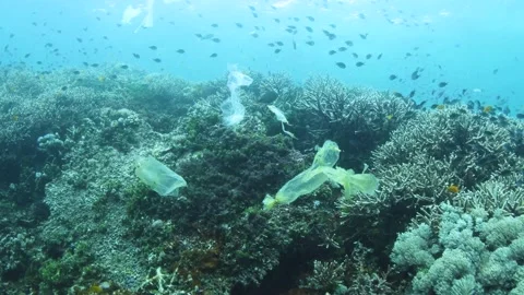 Plastic pollution, plastic bag floating over tropical coral reef. Stock Footage 156202551