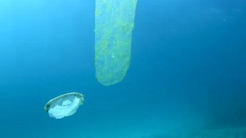 Plastic pollution, plastic bag floating over tropical coral reef. Stock Footage 156202632