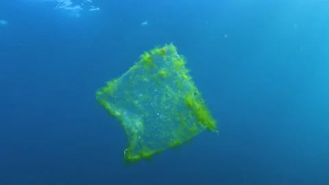 Plastic pollution, plastic bag floating over tropical coral reef. Stock Footage 156202747