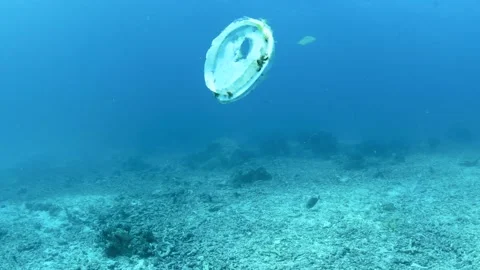 Plastic pollution, plastic floats over tropical coral reef. Stock Footage 156202647