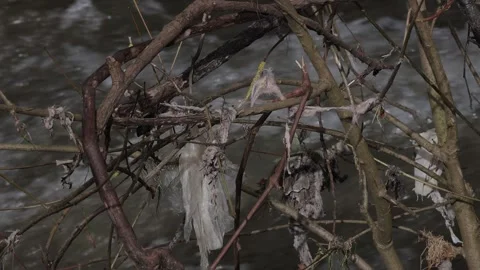 Plastic pollution on a poluted river after floods. Stock Footage 334225612