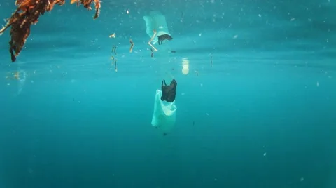 Plastic pollution problem. Bottles and bags dumped in sea causing environmental  스톡 동영상 65449751