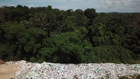 Plastic pollution problem 스톡 동영상 81396601