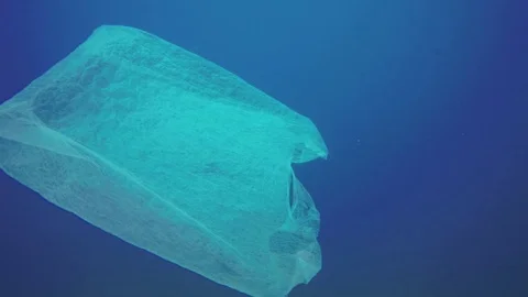Plastic pollution in red sea: Plastic bags discarded in red sea Stock Footage 93687296
