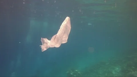 Plastic pollution in red sea: Plastic bags discarded in red sea Video stock 108257102