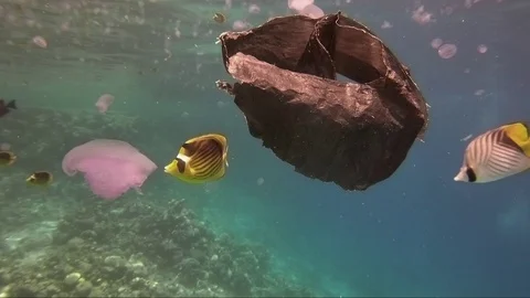 Plastic pollution in red sea: Plastic bags discarded in red sea Video stock 108258940