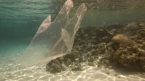 Plastic pollution in red sea: Plastic bags discarded in red sea Video stock 108533030