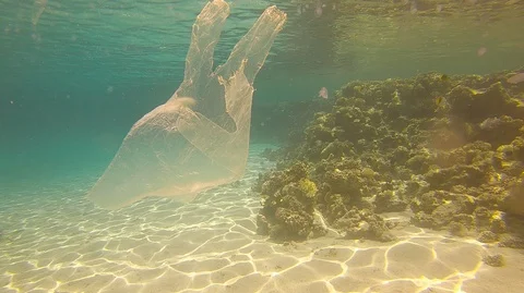 Plastic pollution in red sea: Plastic bags discarded in red sea Stock Footage 108577246