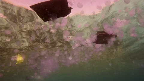 Plastic pollution in red sea: Plastic bags discarded in red sea Stock-Footage 108579680