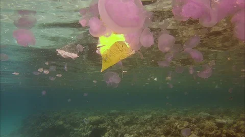 Plastic pollution in red sea: Plastic bags discarded in red sea Stock-Footage 108580472