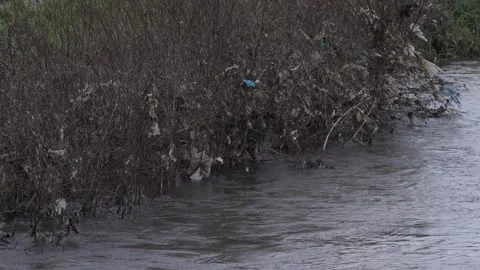 Plastic pollution on a river after floods. Stock Footage 334223861