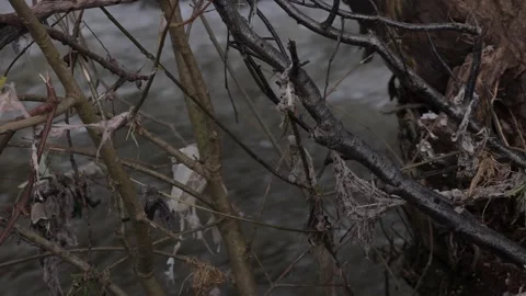 Plastic pollution on a river after floods. Tracking shot. Stock Footage 334224950