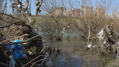 Plastic pollution on river bank 動画素材 236810115