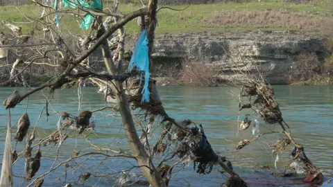 Plastic pollution on river bank 動画素材 236845250