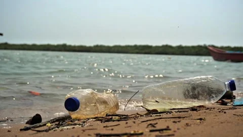Plastic Pollution on River Beach with Floating Waste in Water. Stock Footage 333280002