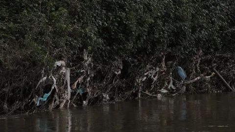 Plastic pollution on a river. Stock Footage 334224263