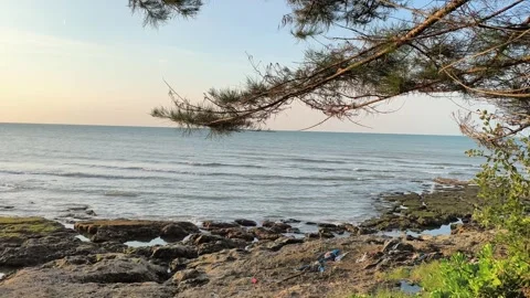 Plastic Pollution on Rocky Beach Shore with Ocean Waves Video stock 341508912