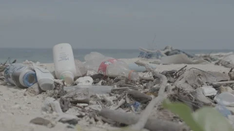 Plastic Pollution in Sand Along Beach Stock Footage 159135140