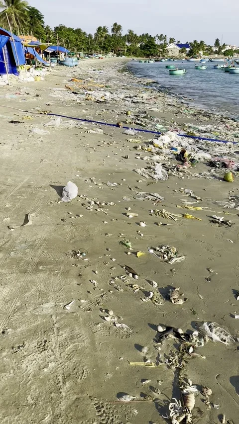 Plastic pollution scattered on sandy ocean beach Stock Footage 340806937