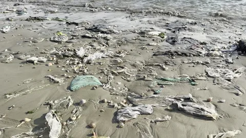 Plastic pollution scattered on sandy ocean beach. Plastic waste, garbage, a.. Stock Footage 340807016