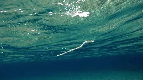 Plastic pollution A Sea of Plastic Garbage Patch. Stock-Footage 334660638