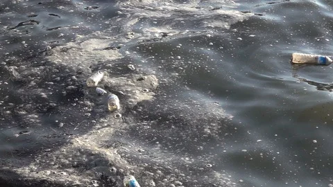 Plastic Pollution on The Sea Water Stock Footage 113075045