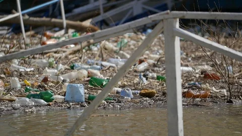 Plastic Pollution On A Shore Stock Footage 88415575