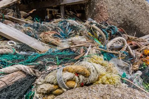 Plastic pollution on the shore Stock Photos