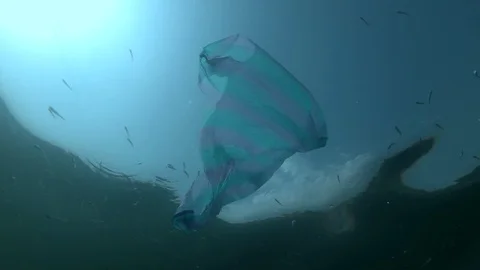 Plastic pollution, striped bag and school of Sand Smelt swims underwater Stock Footage 116326372