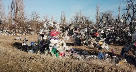 Plastic pollution trash in nature with different kinds of garbage Stock Footage 125538172