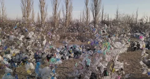 Plastic pollution trash in nature with different kinds of garbage Stock Footage 125783583