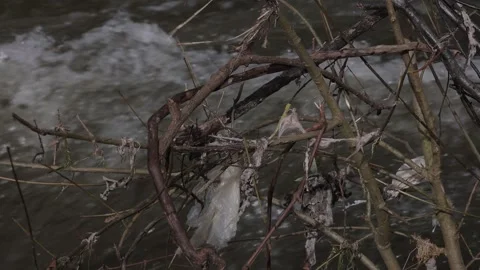 Plastic pollution on a urban river after floods. Stock Footage 334224842