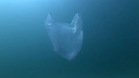 Plastic pollution, used blue plastic bag slowly drifting underwater Stock Footage 147032845