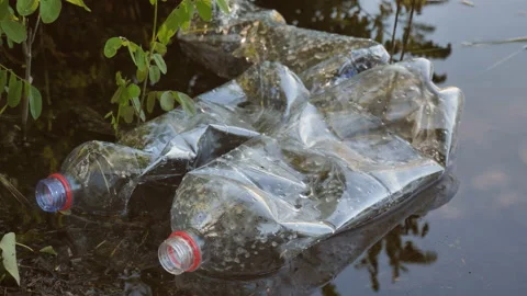 Plastic pollution, used plastic bottles in a pond in the sun. The problem of Stock Footage 201960775