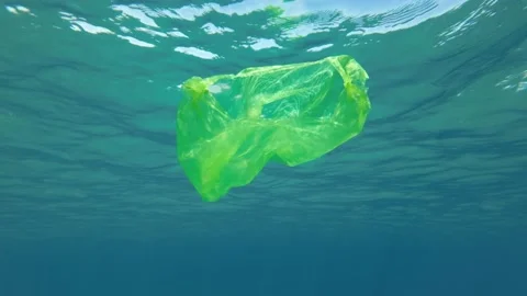 Plastic pollution, used white plastic bag drifting underwater in the sun lights. Stock Footage 172429928