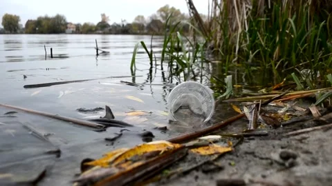 Plastic pollution of water bodies, Plastic cup for cocktails slowly drifting Stock Footage