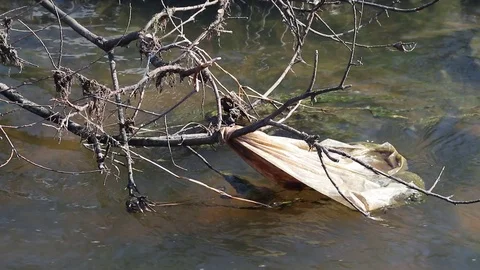 Plastic pollution in water Stock Footage 108649455