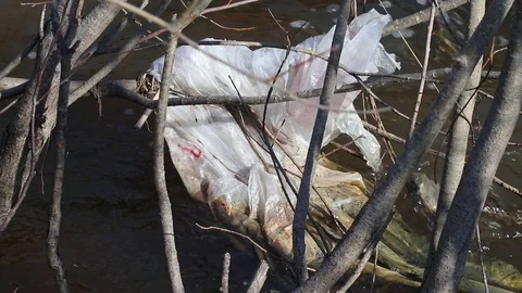 Plastic pollution in water Stock Footage 108649531