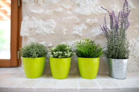 Plastic potted plants on a window ledge indoors Stock Photos