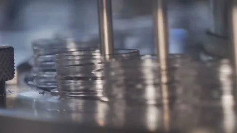 Plastic preform bottles move through the machine for blowing Stock Footage