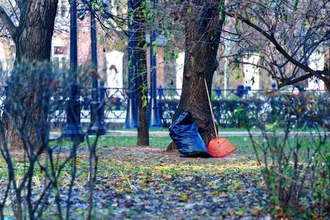 Plastic rake and garbage bag in the park Foto stock