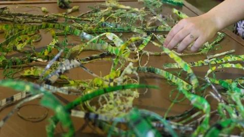 Plastic recycling process Video stock 111964125