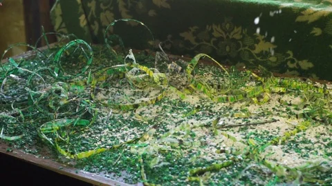 Plastic recycling process Video stock 111965253